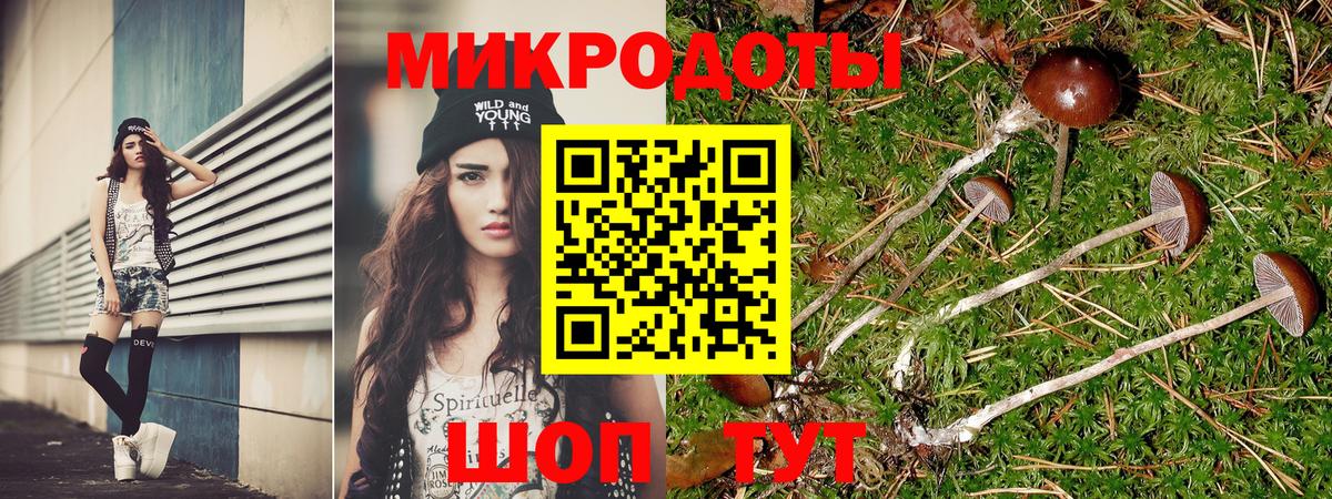 Псилоцибиновые грибы мухоморы  купить закладку  Куйбышев  Вход с VPN 
