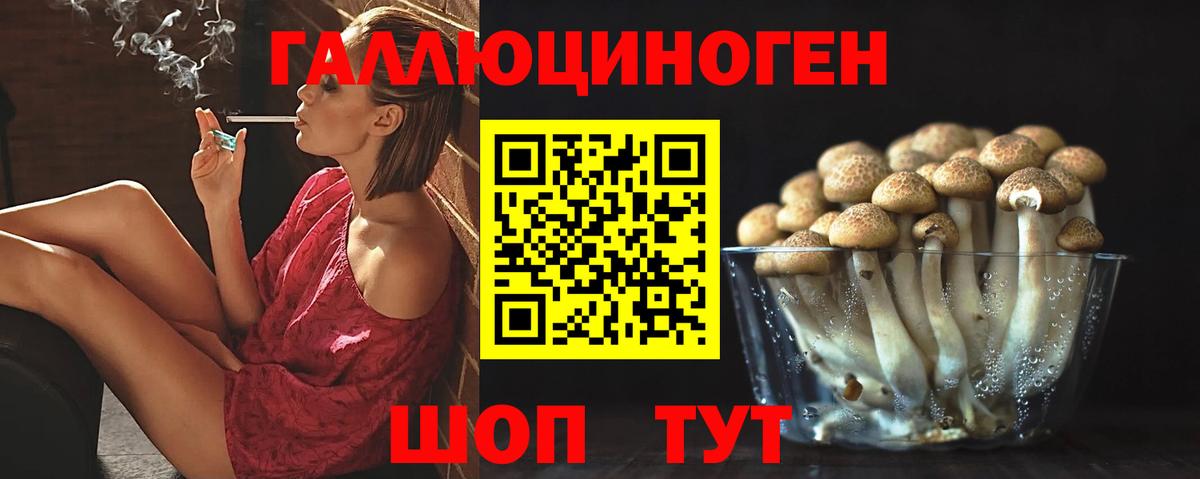 Псилоцибиновые грибы Psilocybine cubensis Куйбышев